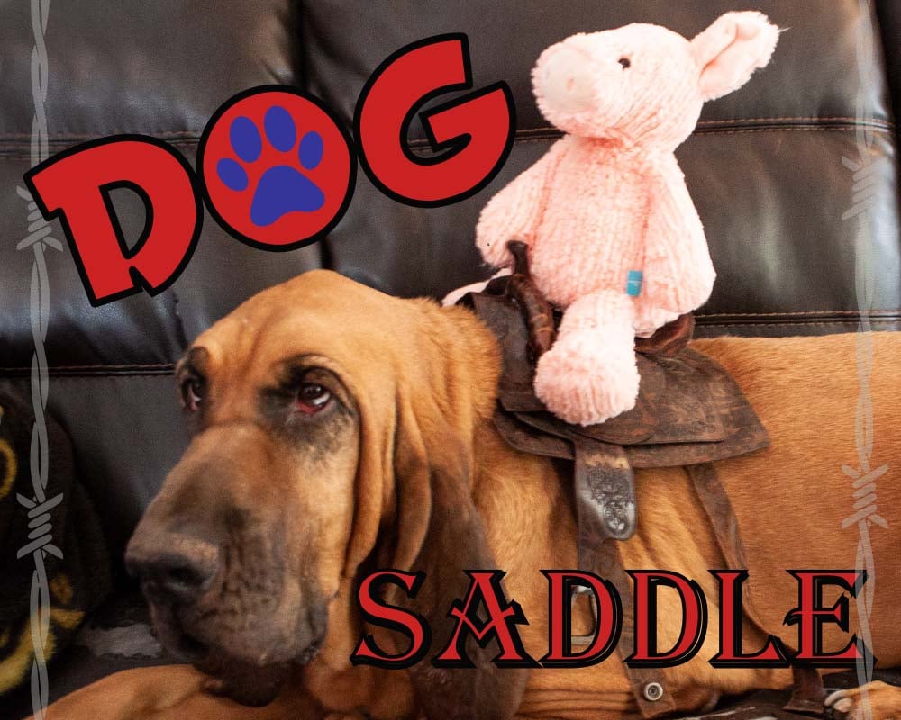 0087 Dog Saddle